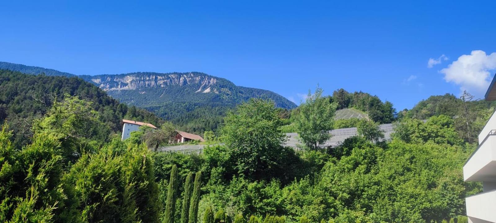 Janas Bolzano Mountain Apartment Tesimo Kültér fotó